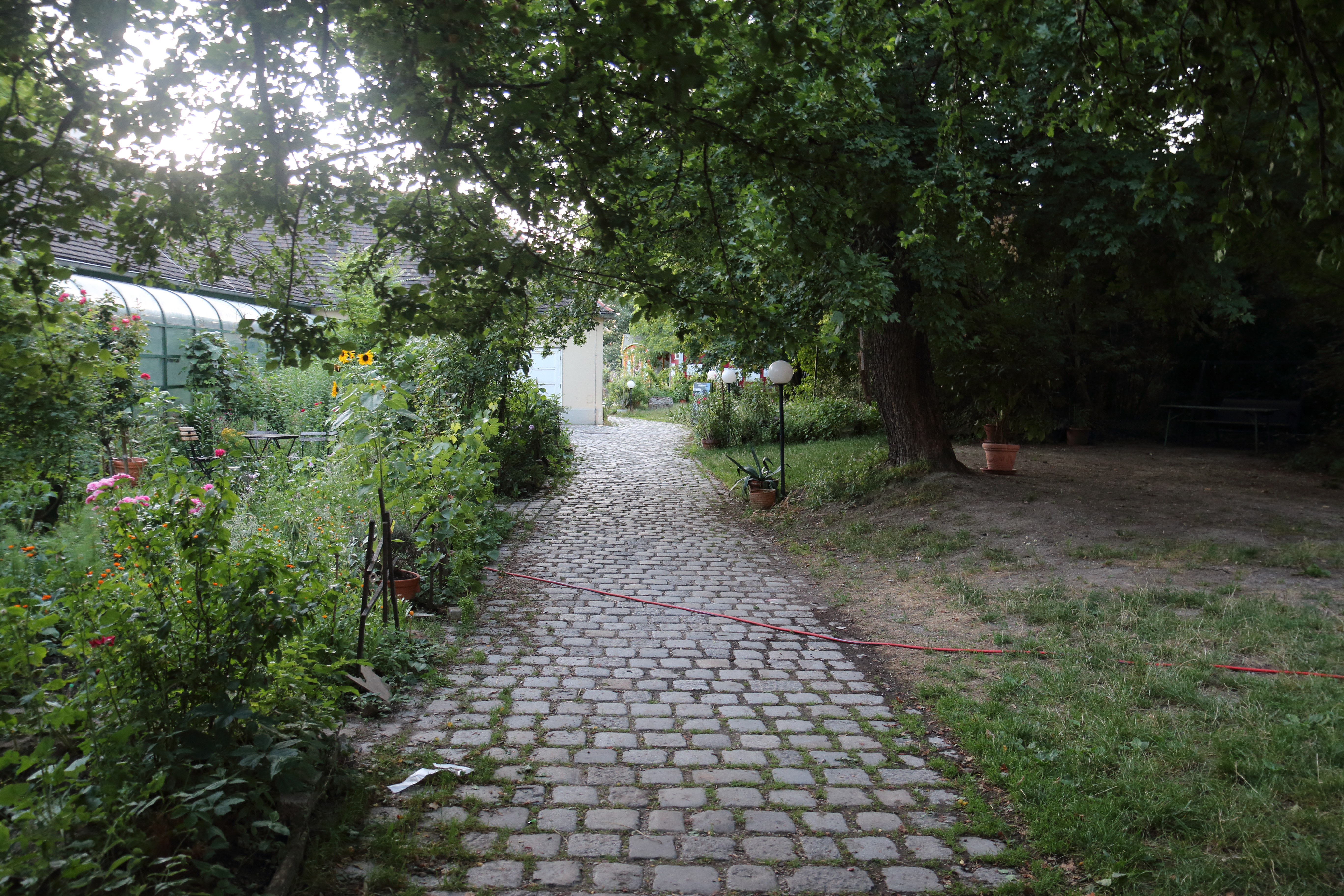 Pathway from the Muth into the Augarten