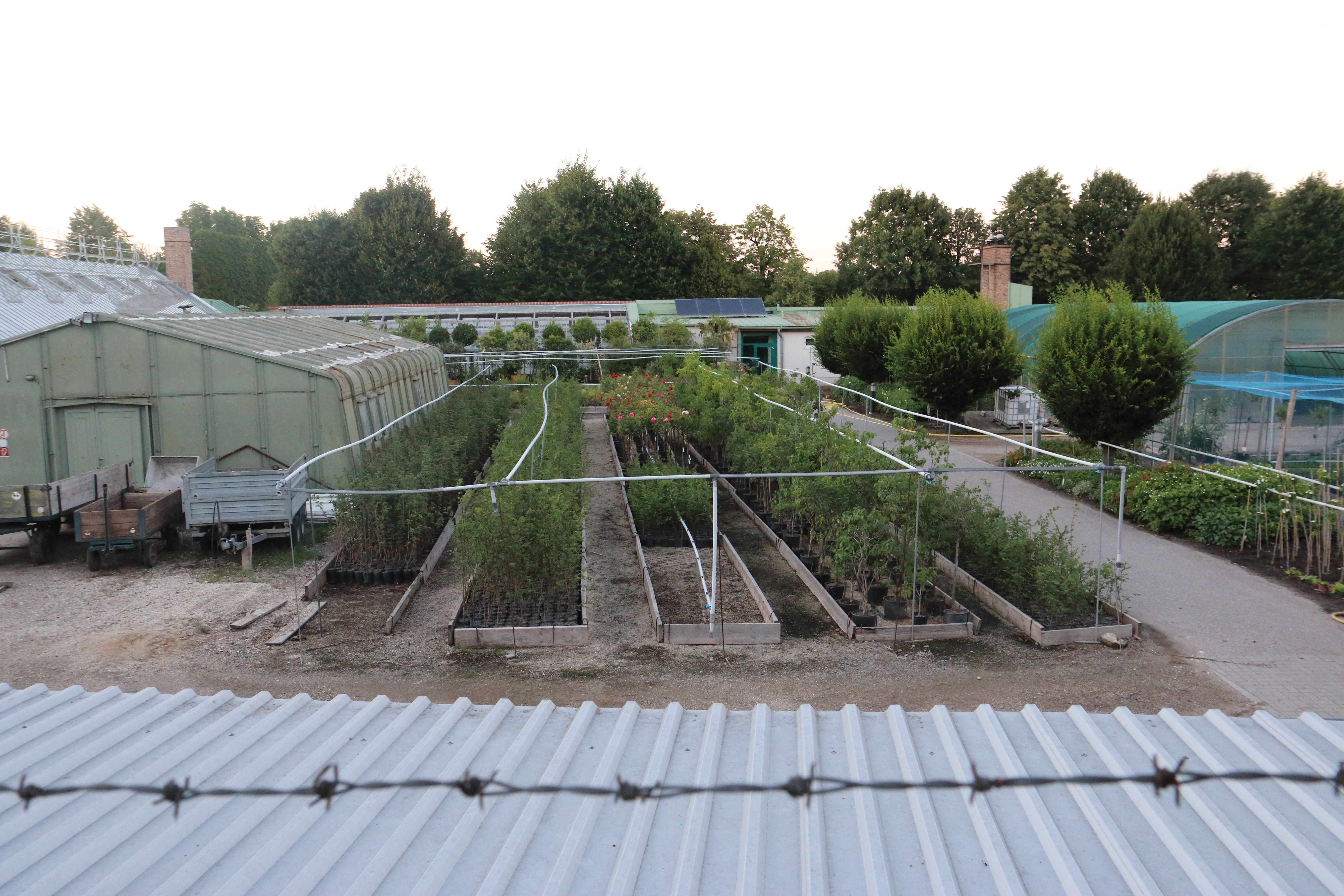 A garden within the garden